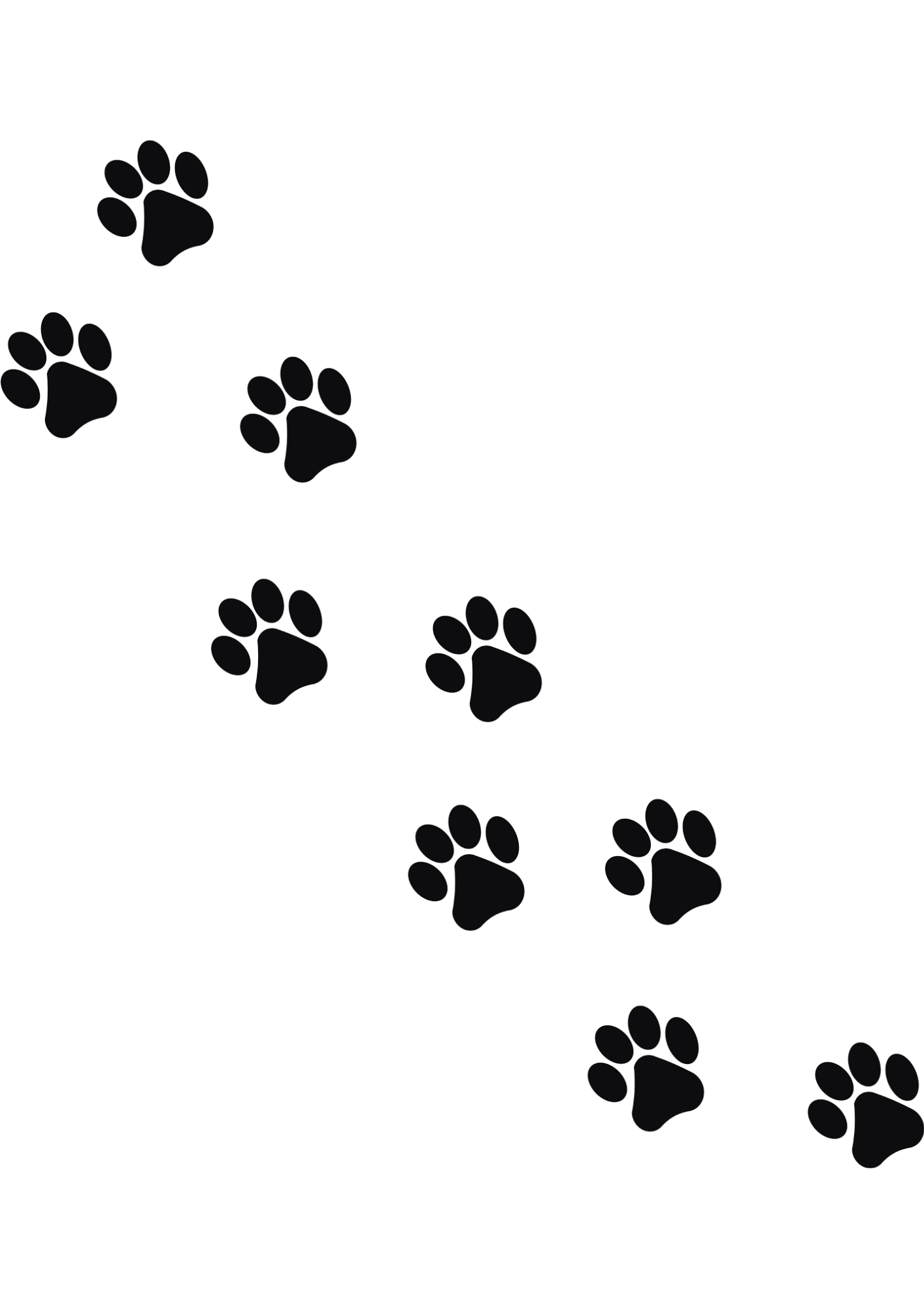 Collection Nos amis les animaux